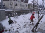 雪遊び.jpg